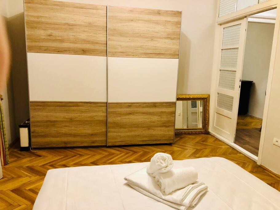 Ultra-Central And Elegant Ap In Opera Square Vic23 Τιμισοάρα Εξωτερικό φωτογραφία